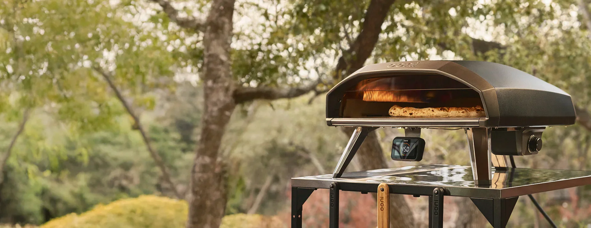 Master the Art of Pizza