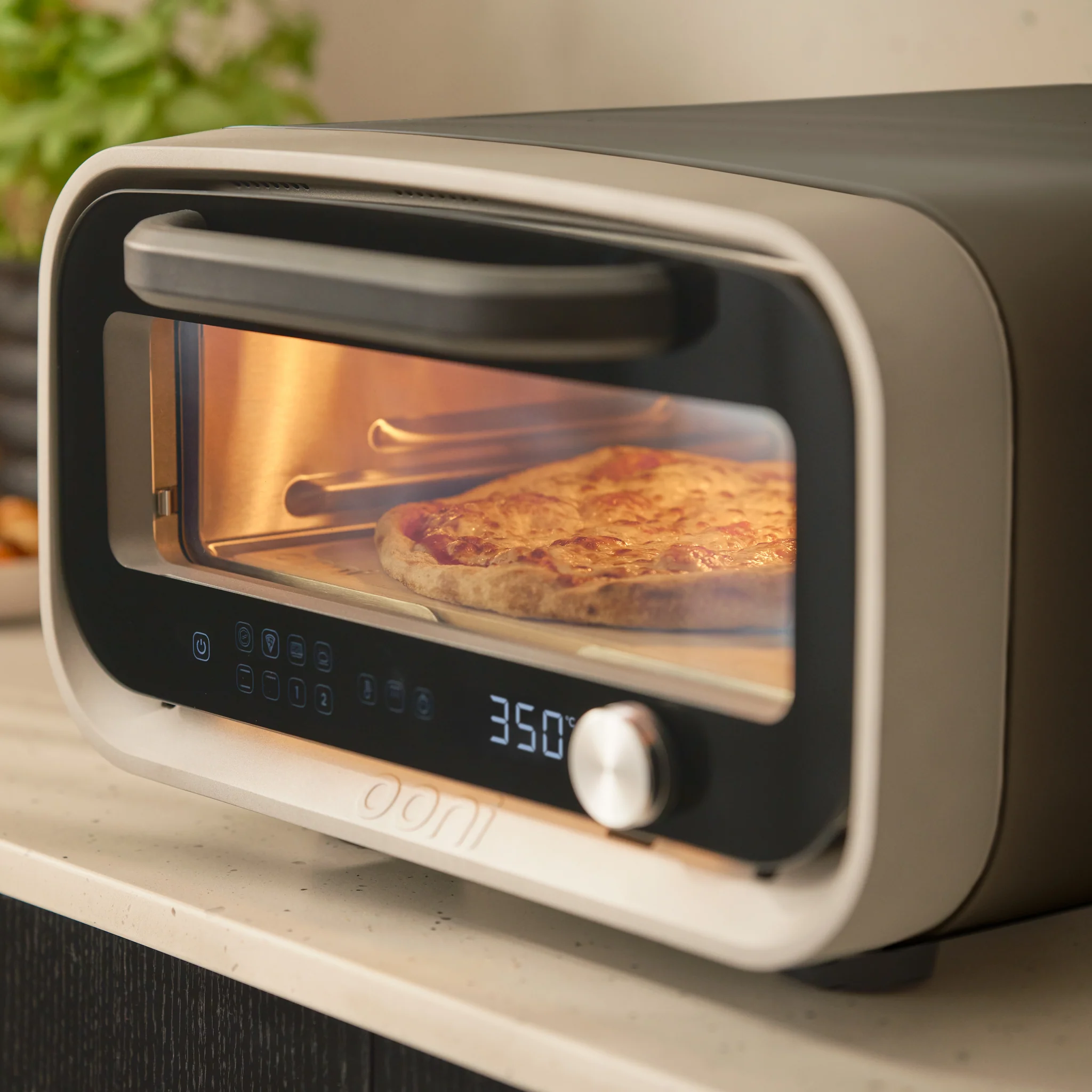 Volt 2 Culinary Bundle - Image 6